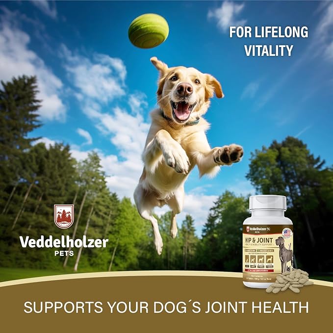 Dog Joint Supplement Tablets – Hip & Joint Support with Glucosamine, Chondroitin, MSM & Turmeric – Mobility, Flexibility & Comfort Aid for Large & Small Breeds – Vet Recommended