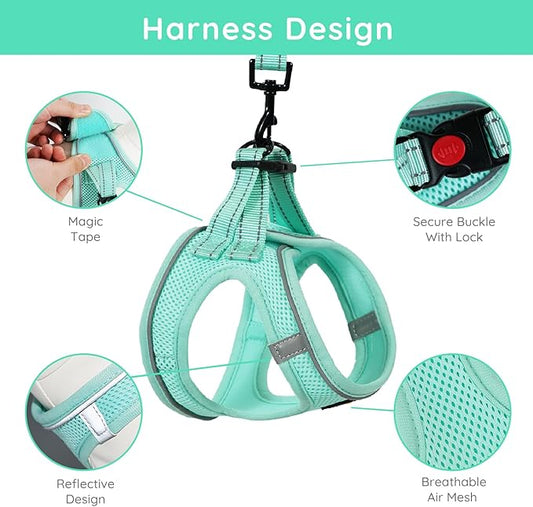 BELLA & PAL Step in Vest Harness for Small and Medium Dogs, No Pull Small Dog Harness with Leash Set, Comfortable Air Mesh Dog Vest Harness with Reflective Strip (Light Green, L)