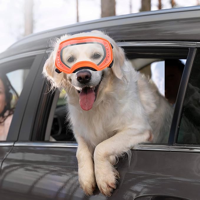 PETLESO Dog Goggles for Large Breed, Clear Dog Sunglasses Anti-UV Wide View Medium Large Pet Eye Protection for Driving Riding Hiking, Adjustable Straps, Orange
