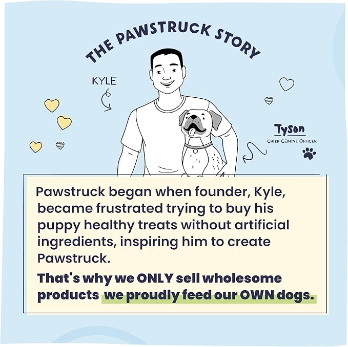 Pawstruck Natural Slow Roasted Pig Snouts for Dogs – Premium Single Ingredient Low Fat Pork Chew Treat for All Breeds – No Artificial Preservatives – 10 Count