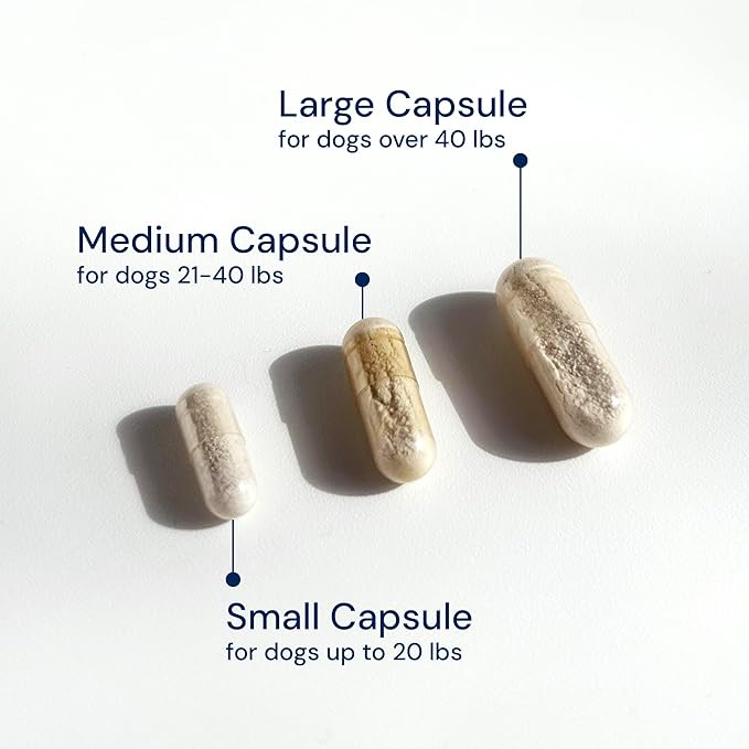 AnimalBiome Dog Probiotics - GMP Prebiotics and Probiotics - Reduce Diarrhea Flareups - for Dogs 21-40 lbs (60 Capsules) - DoggyBiome