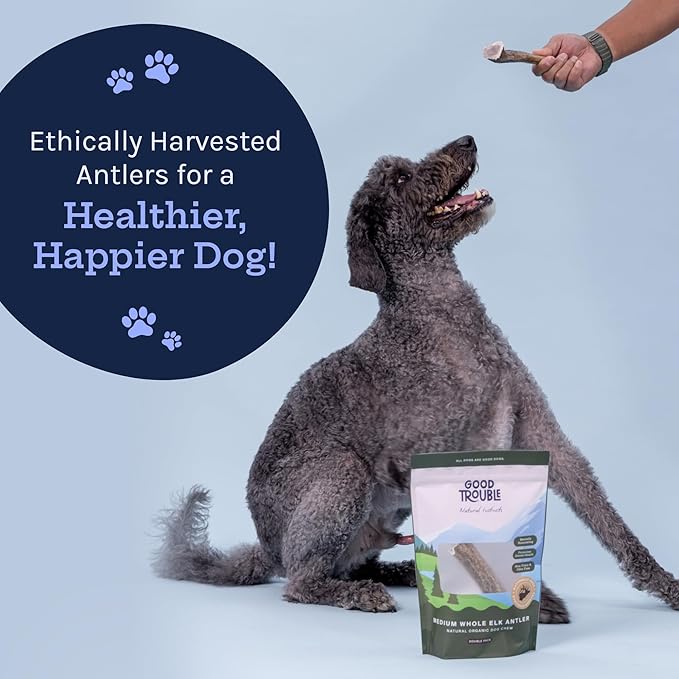 Good Trouble Premium Elk Antlers for Large Dogs – 2 Pack Whole - All-Natural, Shed Antler Chews for Dental Health & Calming - Durable Dog Bones - Cruelty-Free, North American Sourced