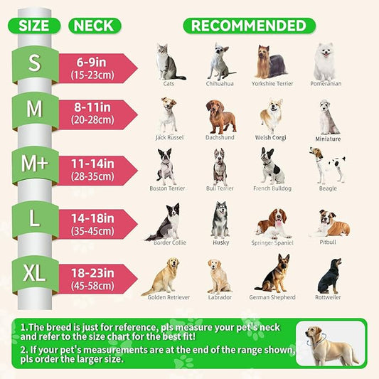 Upgraded Inflatable Dog Cone Collar with Transparent Anti-Licking Shield, Adjustable Elizabethan Collar for Medium Large Dogs, 2-in-1 Design with Detachable Shield and Soft Padding (L, Watermelon)