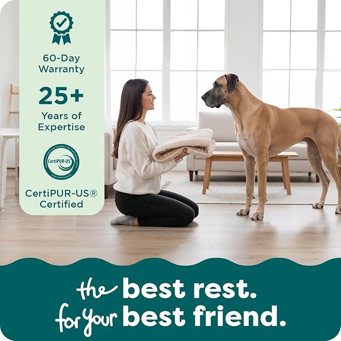 FurHaven Replacement Dog Bed Cover, Contour Luxe Lounger Design, Soft & Breathable Fabric for Cozy Comfort, Machine Washable, Jumbo Plus/XXL, Ultra Plush Faux Fur & Suede, Cream