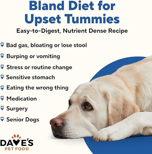 Dave's Pet Food Sensitive Stomach Dog Food (Chicken & Rice), Easy to Digest, Gluten-Free, Digestive Care, Wet Canned, 5.5 oz (Case of 24)