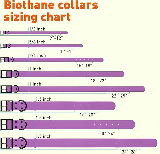 Dogline Biothane Coated Webbing Dog Collar with Black Metal Hardware: Durable Easy-Clean Everyday Collar for Dogs - Comfortable Adjustable Odor-Resistant Pet Collar, W1/2" x L9-12, Amethyst Purple