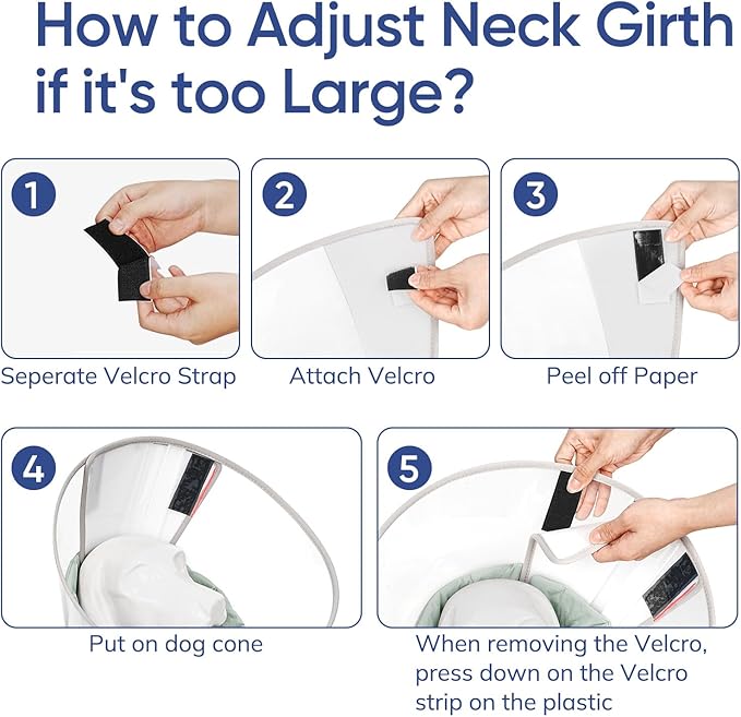 Supet Upgraded Dog Cone with Soft Liner, 20% Lighter Plastic Elizabeth Collar After Surgery to Stop Licking, for Spay Neuter Skin Problems Recovery, for Small Medium Active Large Dogs(Green,M)