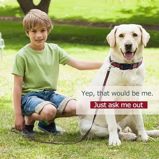 Elegant Dog Collar and Leash Set - Durable Soft Pet Collars and Leashes, Luxury Gift for Medium Dogs