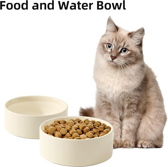 Havniva Ceramic Set of 2 Cat Bowls, Food and Water Bowls for Cats, Kitty, 2pcs Cat Dishes, Pet Feeder(5.1inch, 2 x Beige Bowls)