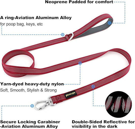 Plutus Pet Heavy Duty Dog Leash with Lockable Aluminum Carabiner, 4/6 Feet Long, Double-Sided Reflective Nylon, Padded Handle, for Puppy, Small, Medium and Large Dogs (Burgundy Red, 1" x 4')