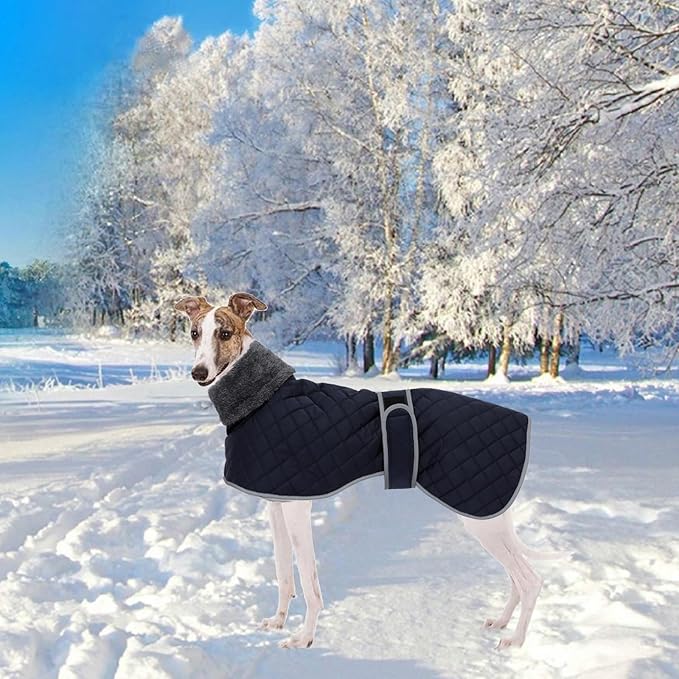 Geyecete Greyhound Fleece Jumper,Greyhound Dog Winter Coat,Whippet Winter Coat Waterproof Windproof Outdoor Dog Apparel for Whippet Lurcher Salukis-Blue-L