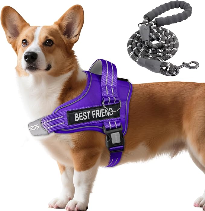 AUROTH Dog Harness and Leash Set, Soft Padded Service Dog Vest with 5.25FT Dog Leash, No Choke, Easy On Pet Vest, Adjustable Reflective No Pull Dog Harness for Large Dogs, Easy Walking and Training