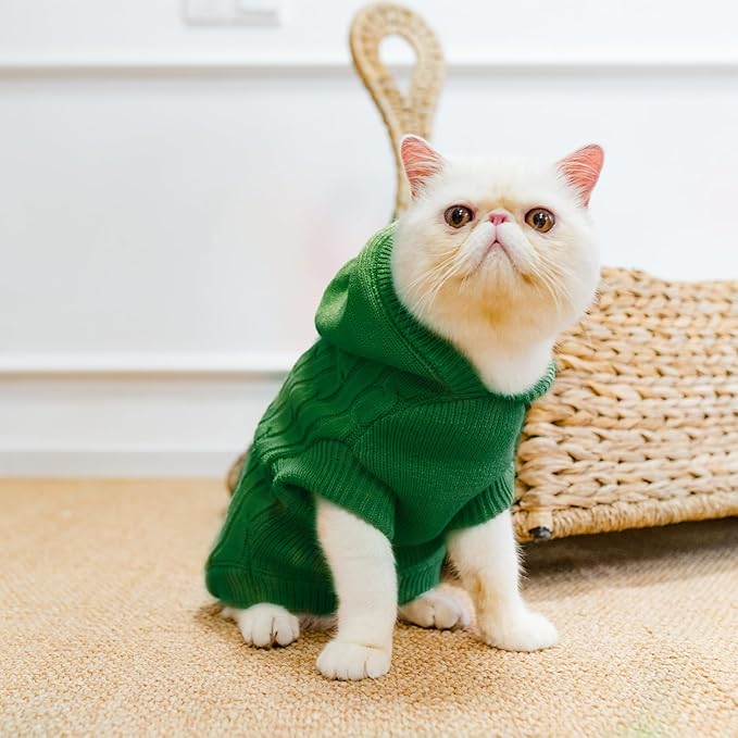PUPTECK Winter Dog Cat Sweater Coat - Soft Cold Weather Clothes Knitwear for Kitties & Small Dogs Indoor Outdoor Walking Warm, Knitted Classic for Doggies Kitties Girls Boys, Light Green S