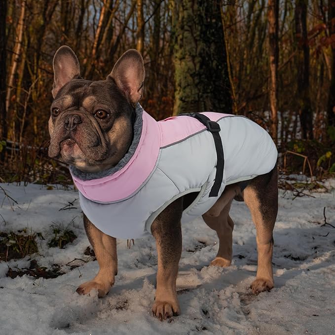 IECOii Dog Coat for Large Dogs, Reflective & Adjustable Turtleneck Jacket with Buckle, Thermal Fleece Lined Dog Snowsuit for Cold Weather - Soft Dogs Winter Coat Windproof Warm Vest, Pink, L