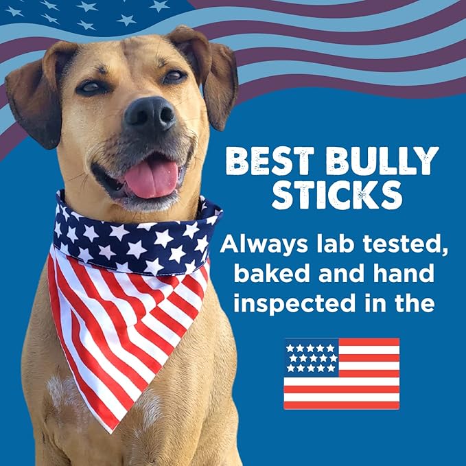 Best Bully Sticks 5-6 Inch Bully Filled Shin Bones for Dogs - 5 Count (Pack of 1) - Easily Digestible, Long-Lasting, Refillable Treat