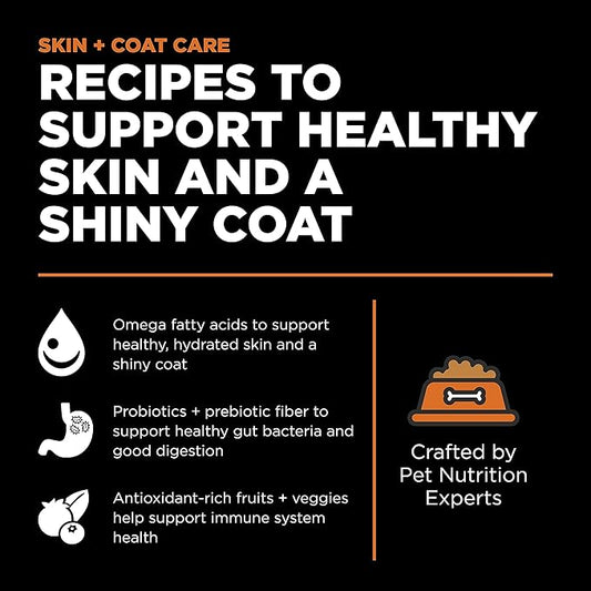 Go! Solutions Skin + Coat Care, Dry Dog Food, Salmon Recipe with Grains, 12 lb Bag
