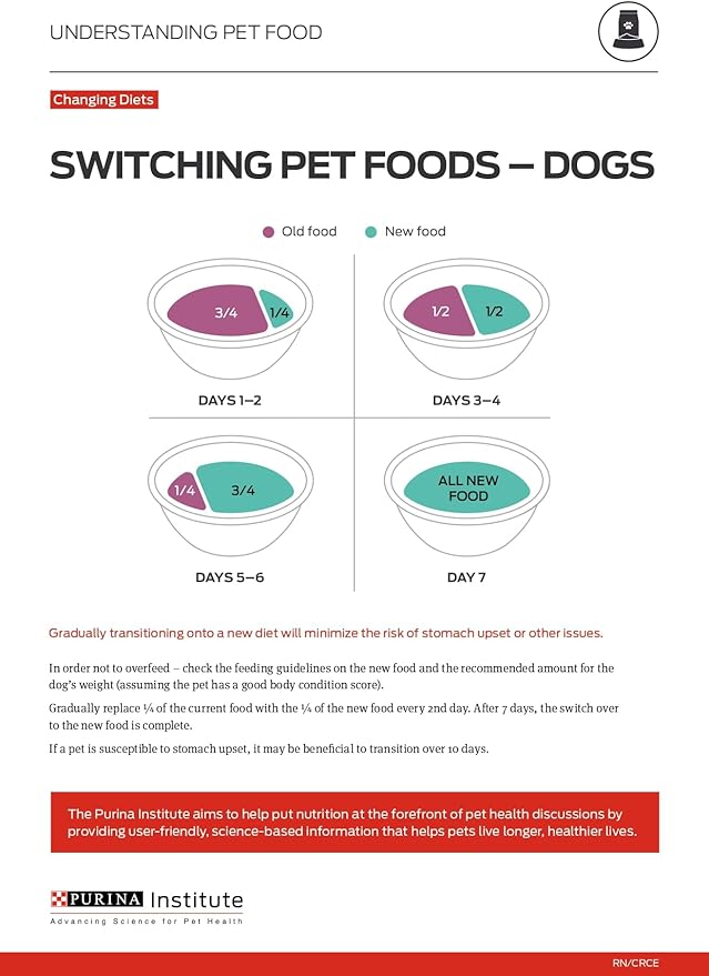 Purina ONE Classic Ground Chicken and Brown Rice Entree Adult Wet Dog Food - (Pack of 12) 13 oz. Cans