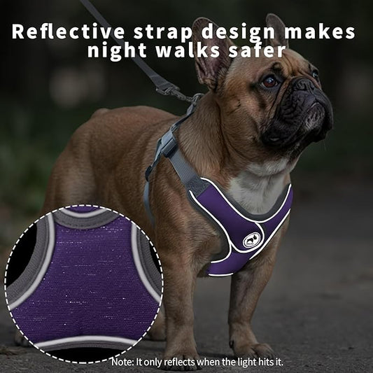 Dog Harness with Leash Set, Adjustable Step in Collars Harness with Breathable Padded Vest for Medium Dogs Training and Running (M, Purple)