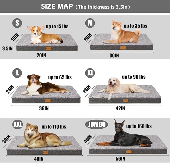 Patas Lague Orthopedic Dog Bed for Small Dogs 20''X15'', Soft Waterproof Egg Crate Foam Small Pet Crate Beds Mat with Removable Washable Cover and Non-Slip Bottom, Light Grey