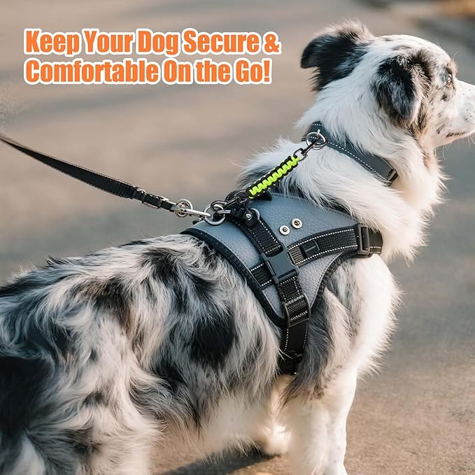 Dog Collar Safety Clip, Collar Companion, Handmade Backup Safety Strap, Double-Ended Clip Leash Connector, Suitable for Dog Harnesses, Prong, Pinch Collars (Black,Fluoro Green, 1 Pack)