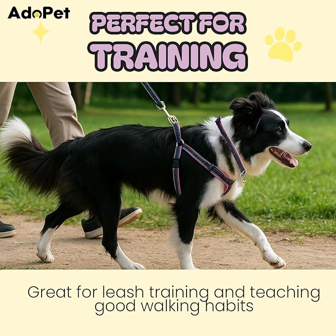 No Pull Dog Harness with Front Clip & Leash Set for Small & Medium Dogs – Adjustable Dog Walking Vest with Soft Padding, Collar & Easy Control Handle - Pink (Medium)