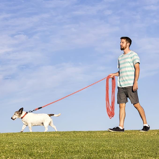 Long Dog Leash for Training 15Ft-Reflective Nylon Rope with Swivel Hook-Recall Agility Lead for Large Small Medium Dogs Outside Walking Hiking-Orange Diam 1/2"