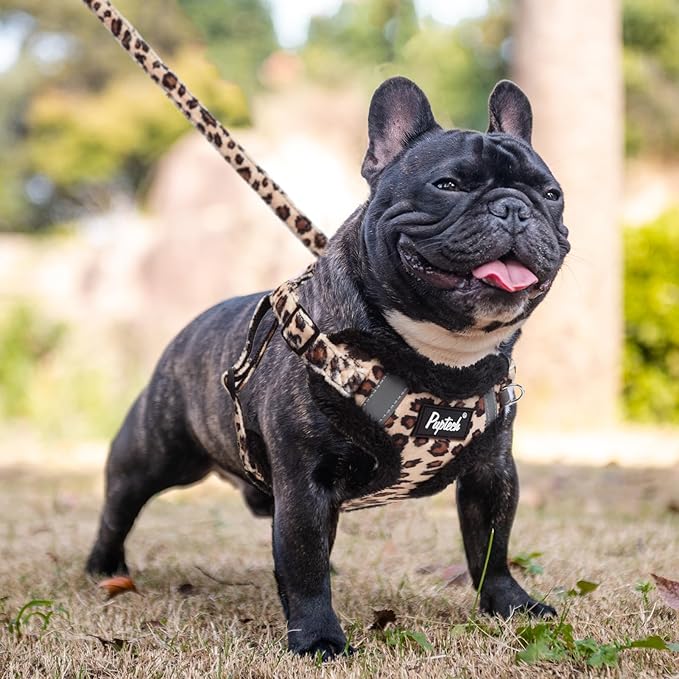 PUPTECK Dog Harness and Leash Set Small Sized, Step in No Pull Adjustable Puppy Cat Harness Reflective Pet Vest