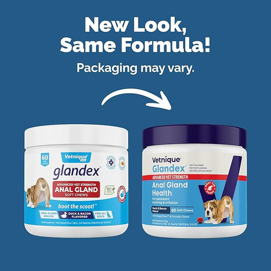 Vetnique Glandex Anal Gland Soft Chew Treats with Pumpkin for Dogs Digestive Enzymes, Probiotics Fiber Supplement for Dogs Boot The Scoot (Advanced Strength Duck/Bacon Chews (Vegetarian), 60 Ct)