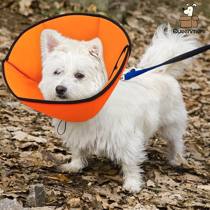 Queenmore Dog Cone Collar, Cone for Dogs to Stop Licking, Dog Cones for Medium Dogs, Adjustable Doggy Recovery Collars & Cones, Elizabethan Collar for Pets After Surgery, Orange M
