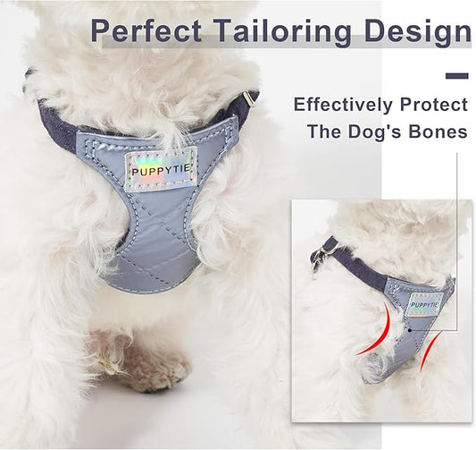 Puppytie No Pull Small Dog Harness with Multifunction Dog Leash,Lightweight Soft Adjustable No Choke Escape Proof Pet Harness Vest Pet Harness Vest,Glossy Galaxy Blue,S