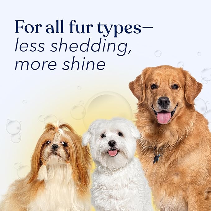 Honest Paws Dog Shampoo and Conditioner - Premium Dog Wash for Allergies and Dry, Itchy, Moisturizing for Sensitive Skin - Sulfate Free, Plant Based, All Natural - Coconut & Mango -16 Fl Oz