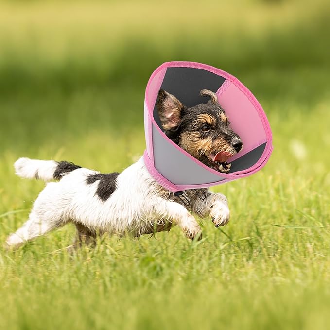 Queenmore Dog Cones for Large Dogs, Cone for Dogs to Stop Licking After Surgery, Adjustable Waterproof Dog Cone Collar Alternative, Comfortable Pet Recovery E-Collar (Light Pink,L)