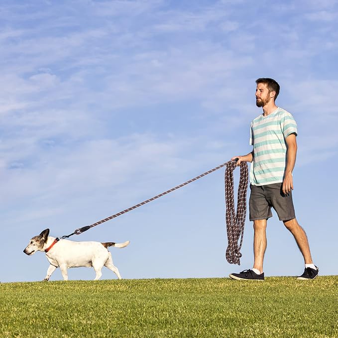 Long Dog Leash for Training 15Ft-Reflective Nylon Rope with Swivel Hook-Recall Agility Lead for Large Small Medium Dogs Outside Walking Hiking-Brown Diam 1/2"