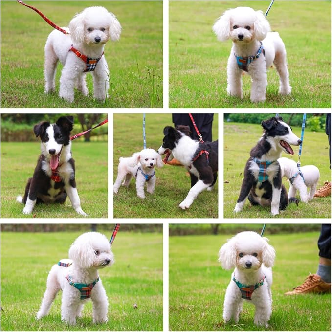 CHEDE No Pull Puppy Harness and Multifunction Dog Leash Set- 8 Colors Soft Adjustable No Choke Escape Proof Cute,Lightweight Pet Vest Harness for Small and Medium Dog (M, Blue Grid)