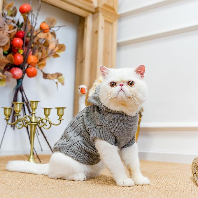 PUPTECK Winter Dog Cat Sweater Coat - Soft Cold Weather Clothes Knitwear for Kitties & Small Dogs Indoor Outdoor Walking Warm, Knitted Classic for Doggies Kitties