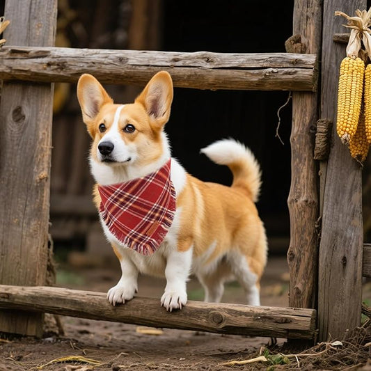 PTDECOR Fall Dog Bandanas with Tassels Edges, Orange and Brown Plaid Scarf Bib, Halloween Thanksgiving Autumn Pet Bandana, Reversible Triangle Bandanas for Medium Large Dogs Pets (Large)