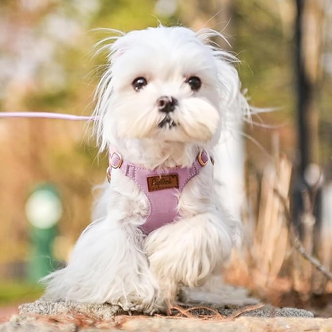 PUPTECK Dog Harness and Leash Set Small Sized, Step-in Cute Puppy Harness, Soft Lightweight Padded Vest, Escape Proof No Pull Pet Harnesses Easy for Walking, Purple, M