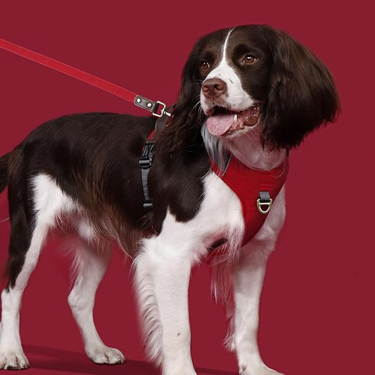 No Pull Dog Harness Medium Sized Dog,Stylish PU Leather Vest with Easy Control Handle,No Choke Front Clip with 2 Metal Leash Clips,Reflective & Adjustable for Walking,Red,Chest 22-29"