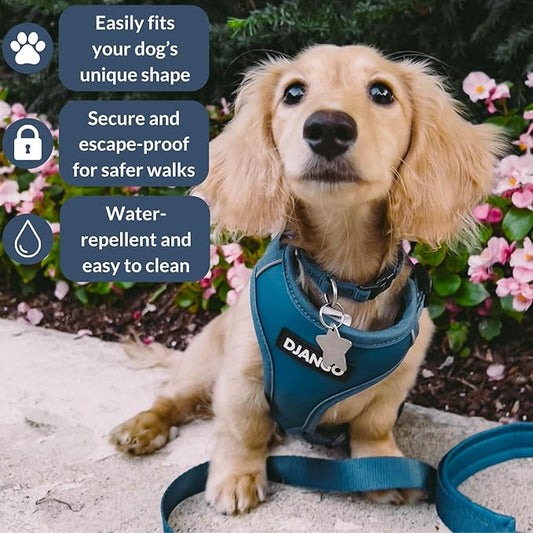 DJANGO Adventure Dog Harness - Stylish and Durable Small Dog Harness for Outdoor Adventures and Everyday Wear - Indigo Blue Neoprene Adjustable Harness for Dogs with Reflective Piping & Brass D-Ring