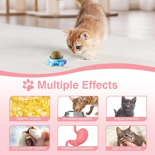 Thorixzen Catnip Ball 360° Balls for Cats Catnip Balls Interactive Toys Wall Catnip Toy Cat Nip Anxiety Relief Indoor Edible Rotatable Play Chew Teeth Cleaning Cat Nips Organic Ball 4 Pack