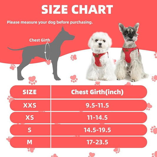 PUPTECK Dog Harness and Leash Set Small Sized, Step-in Cute Puppy Harness, Soft Lightweight Padded Vest, Escape Proof No Pull Pet Harnesses Easy for Walking, Red, M