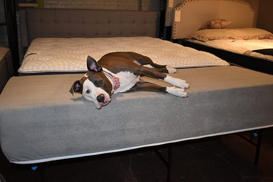 Dog Bed Mattress Extender for King Beds - Customizable Freestanding Bedside Pet Cosleeper for Dogs & Cats - Multiple Height & Color Options - Extension of Bedding for Pets (8" Height Dog Bed, Gray)