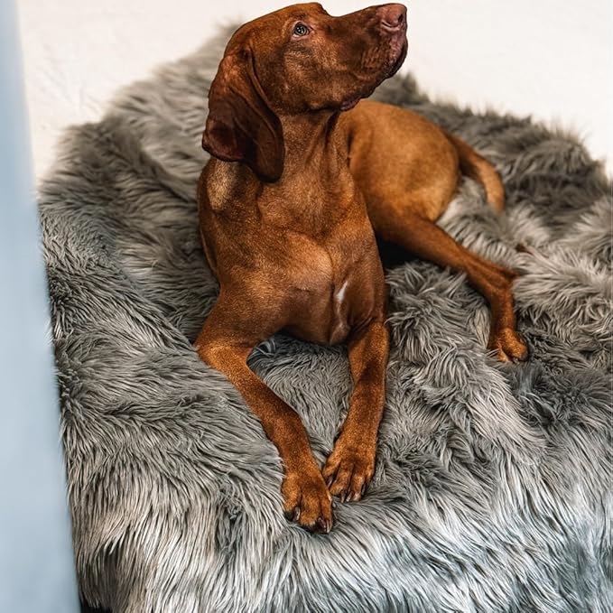 Waterproof Dog Blanket for Small, Medium & Large Dogs – Faux Fur Pet Throw for Couch, Sofa, Bed & Car – Soft, Washable, Stain-Resistant, Durable Cover – Grey – 40" x 30"