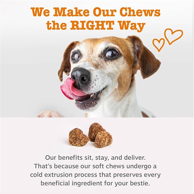 Zesty Paws Turmeric Curcumin for Dogs - for Hip & Joint Mobility Supports Canine Digestive Cardiovascular & Liver Health - Coconut Oil for Skin Health with 95% Curcuminoids + BioPerine Bacon, 90 Count