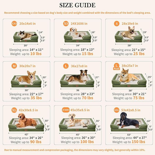 Comfort Expression Orthopedic Dog Bed for Medium Dogs 28x19 Inch, Waterproof Egg Crate Foam Medium Pet Bed with Removable Bolsters, Dog Couch with Washable Cover & Non-Slip Bottom, Light Green