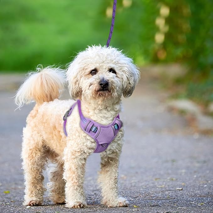 BARKBAY No Pull Dog Harness Large Reflective Dog Harness with Front Clip and Easy Control Handle for Walking Training Running with ID tag Pocket(Lavender Sky,S)