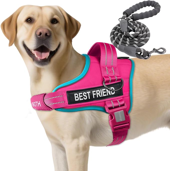 AUROTH Dog Harness and Leash Set, Soft Padded Service Dog Vest with 5.25FT Dog Leash, No Choke, Easy On Pet Vest, Adjustable Reflective No Pull Pet Vest Medium Sized Dog, Easy Walking and Training