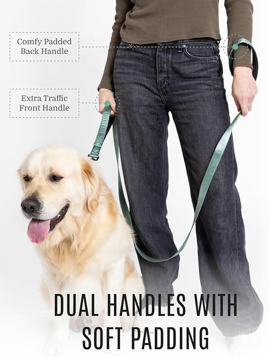 2025 New Edition, Fei & Eve Classic Dog Leash - 4FT, Dual Padded Handles, 360° Swivel Hook, Heavy Duty 210D Nylon - No-Pull Design with Traffic Control Handle - for Small/Medium/Large Dogs, Green