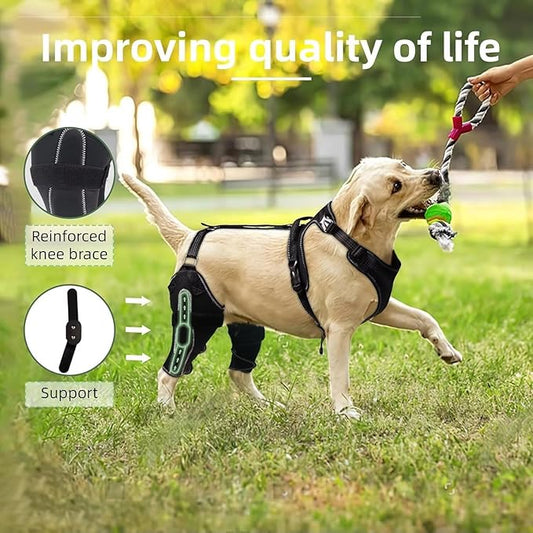 Dog Knee Brace for ACL/CCL Injuries,Torn Ligament,Pain Relief,Joint Warmth,Luxating Patella - Rear Leg Support,Black,Both Legs,Size:Customized