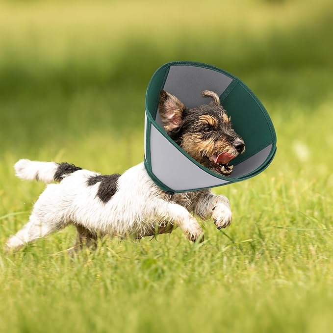 Queenmore Large Dog Cone, Dog Cones for Large Dogs, Comfy Cone Collar Alternative After Surgery, Comfortable Recovery E-Collar for Pets to Stop Licking Wound Healing (Dark Green,XL)